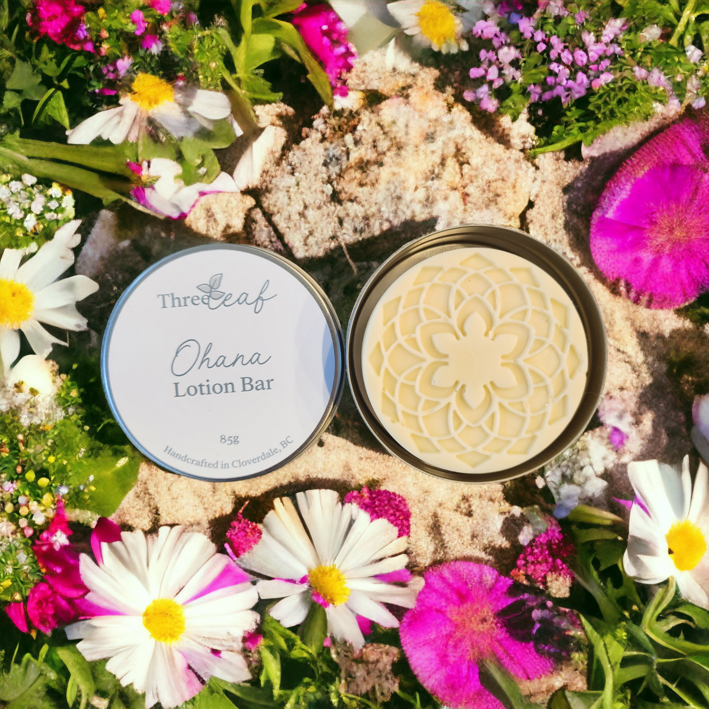 Lotion Bars